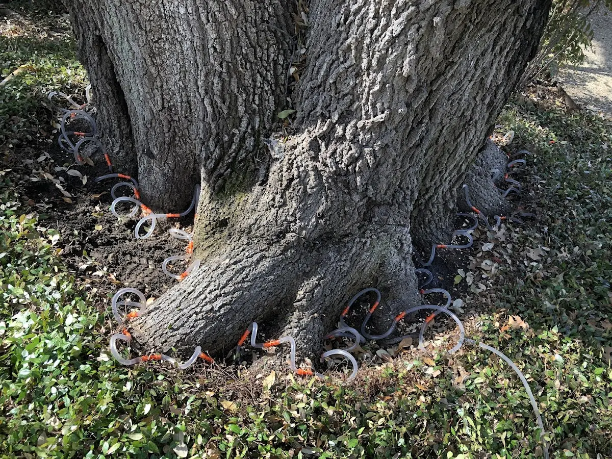 Detailed Shrub and Hedge Trimming job site in Middle Amana