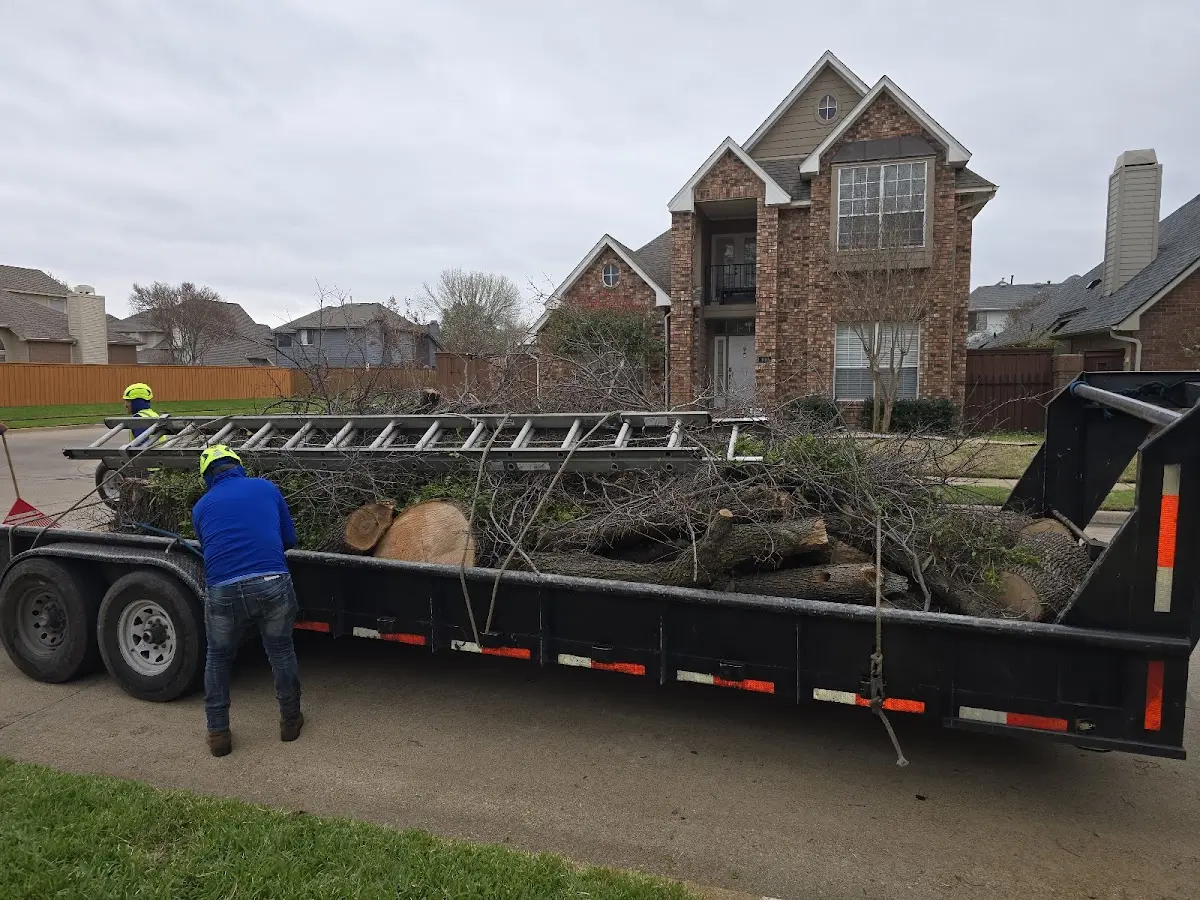 Expert Tree Fertilization with proper safety equipment in Middle Amana